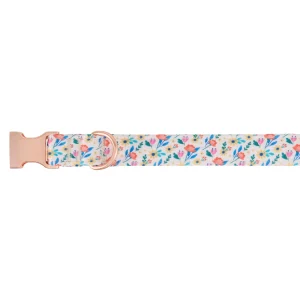 Top Paw® Wild Flower Dog Collar, Adjustable, Neoprene, White, Flower, Multiple Sizes