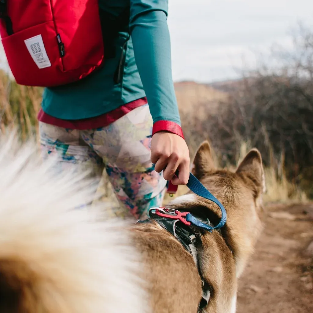 TOPO DESIGNS | Dog Leash in Navy - Image 2