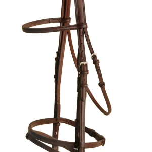 Tory Leather Company Raised Flash Bridle