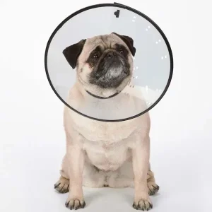 Total Pet Health Elizabethan M 11.5In Clear