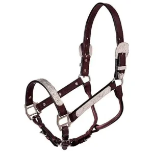 Tough 1 Royal King Show Halter and Lead