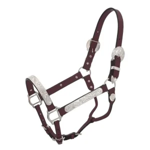 Tough 1 Silver Horse Dark Oil Leather Show Halter