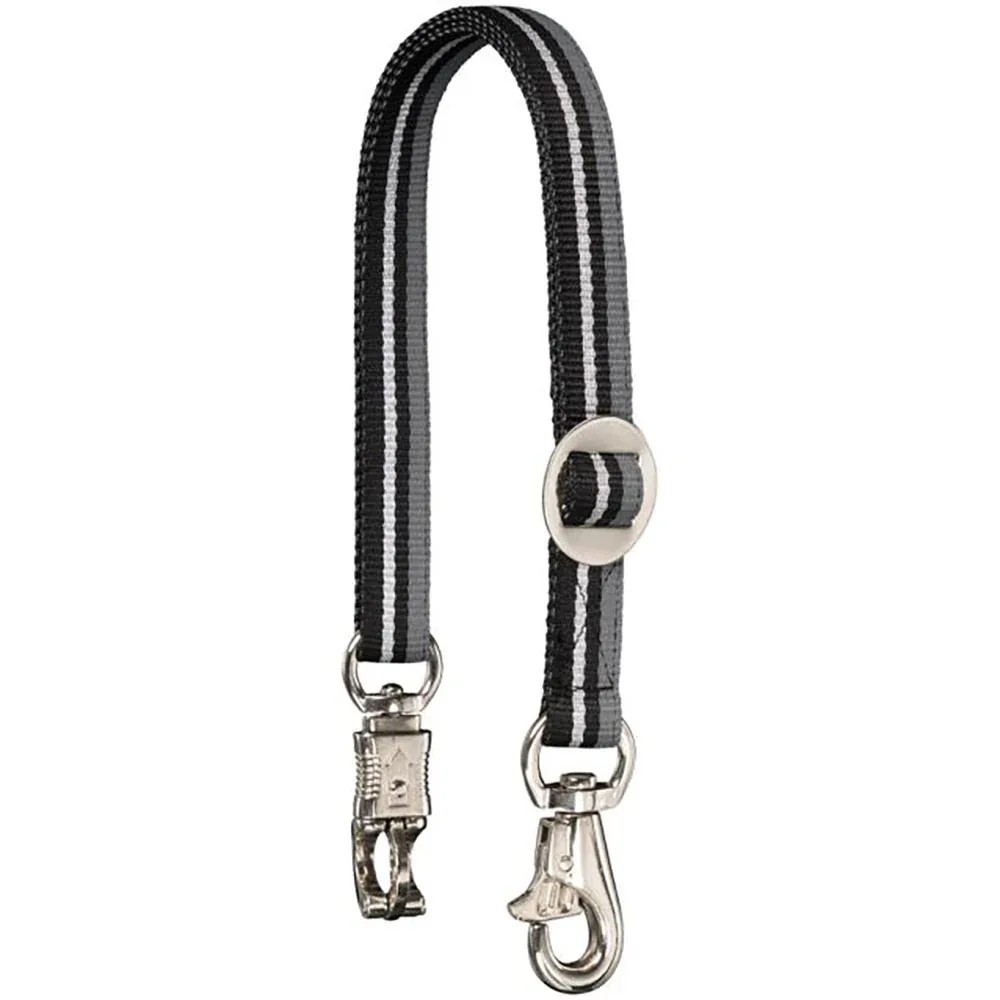 Tough 1 Tri-Colored Metallic Trailer Tie - Image 2