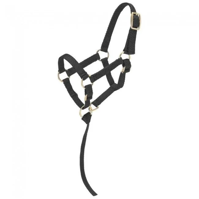 Tough1 Miniature Nylon Halter - Image 2