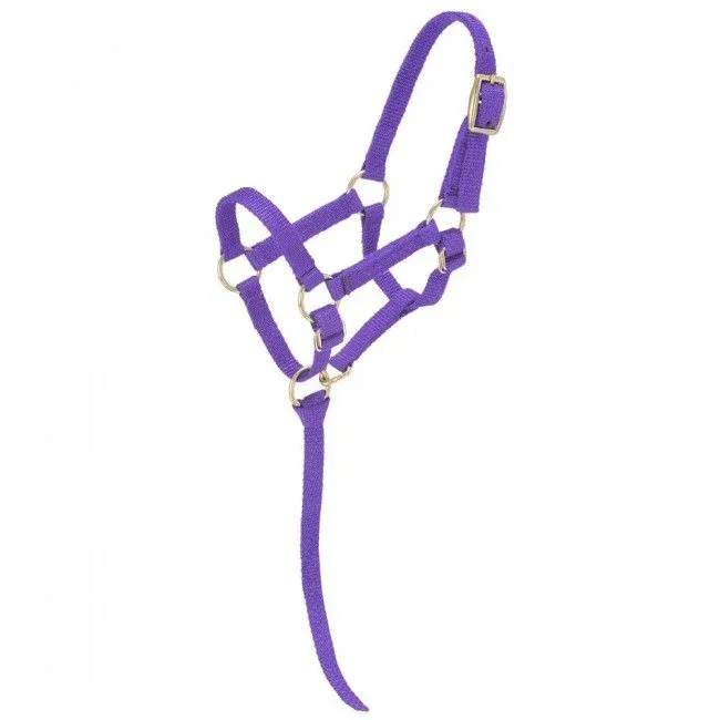 Tough1 Miniature Nylon Halter