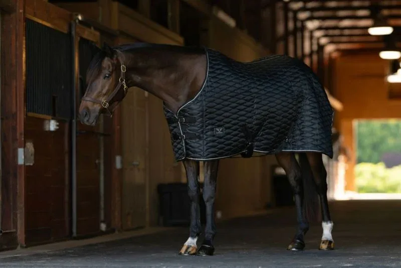 TR Kozy Komfort 420D Diamond Stable Blanket - Image 2