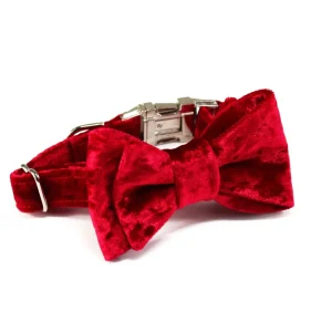 TRAX TIES | The Elton Classic Bow Tie