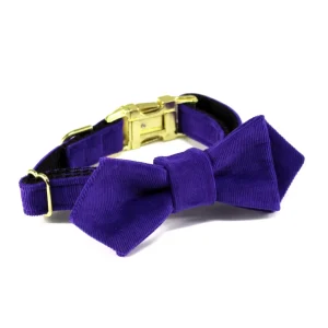 TRAX TIES | The Jones Contemporary Bow Tie and Collar