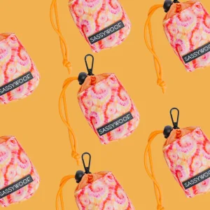 Treat Pouch - Summer Sorbet