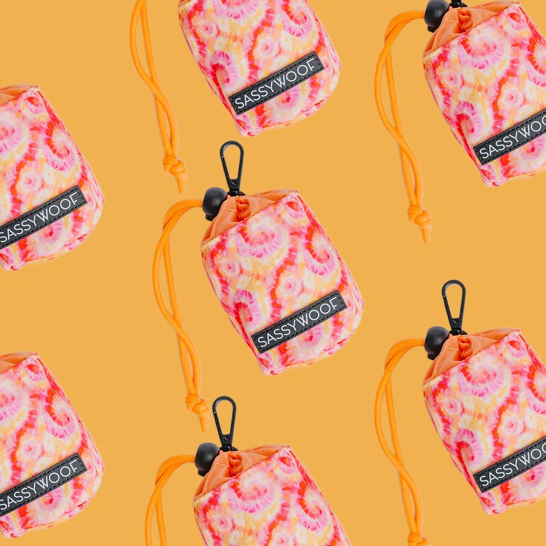 Treat Pouch - Summer Sorbet