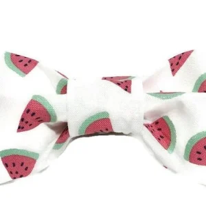 TRISH HAMPTON | Watermelon Bow Tie