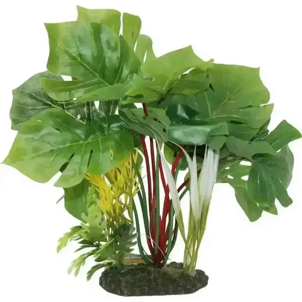 Tropical Gardens Split Green Leaf Philodendron