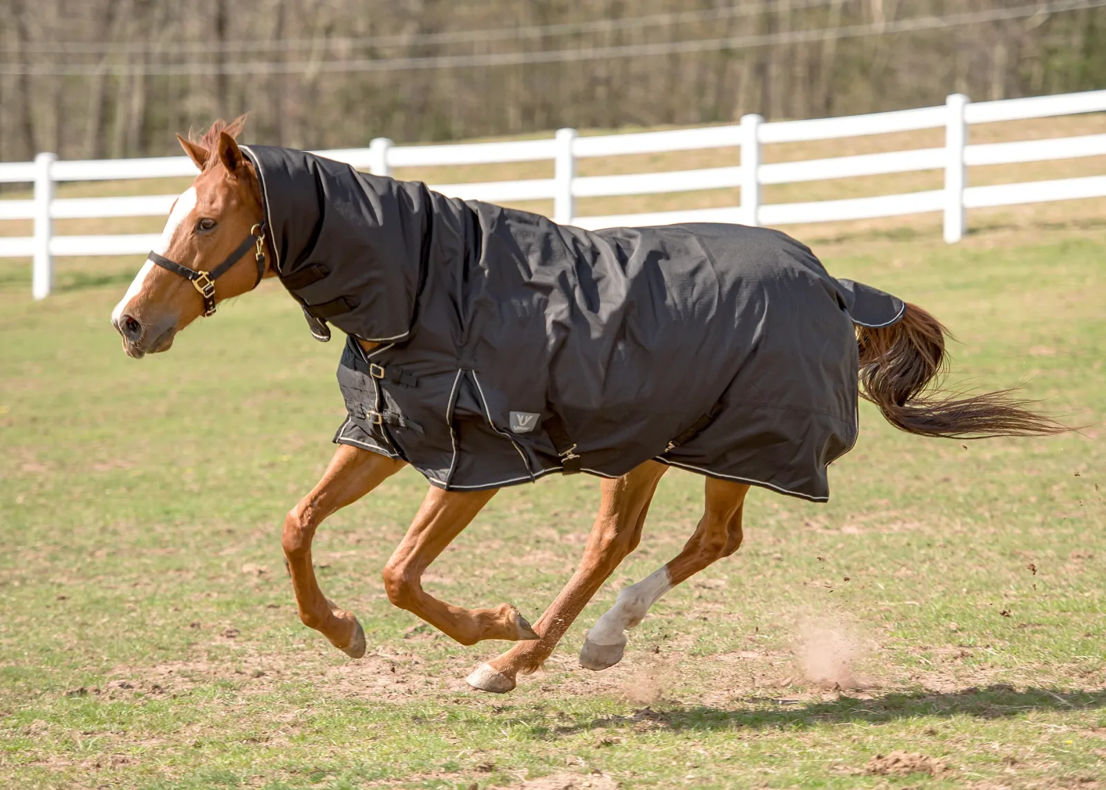 TuffRider® 600D Comfy Medium-Weight Turnout Blanket with Combo Neck - Image 2