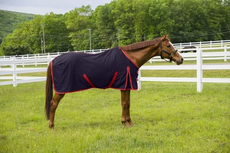 TuffRider Kozy Komfort Stable Sheet - Image 2