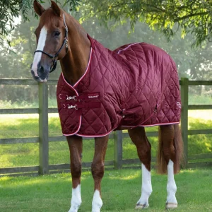Tuscan Stable Rug 100g Burgundy