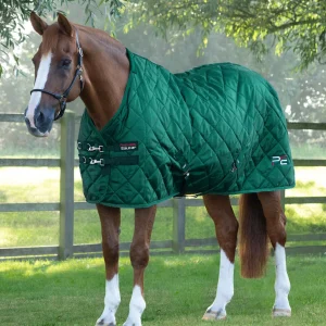 Tuscan Stable Rug 200g Green