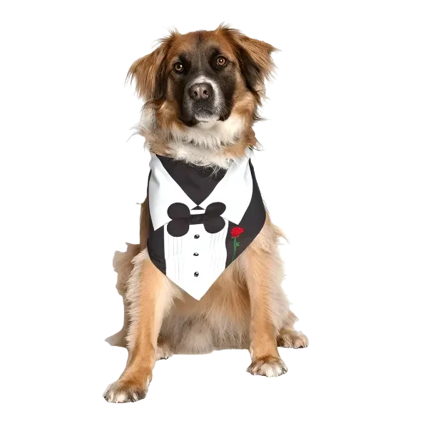 Tuxedo With Rose Wedding Dog Bandana by Dog Fashion Living