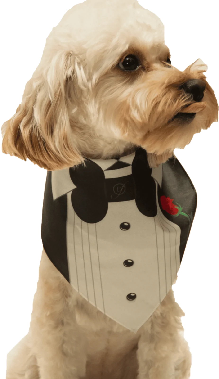 Tuxedo With Rose Wedding Dog Bandana by Dog Fashion Living - Image 2