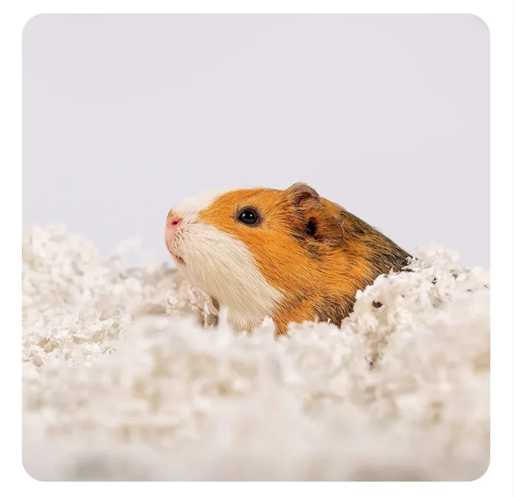 Uber Soft Paper Pet Bedding - White - 56 L - Image 2