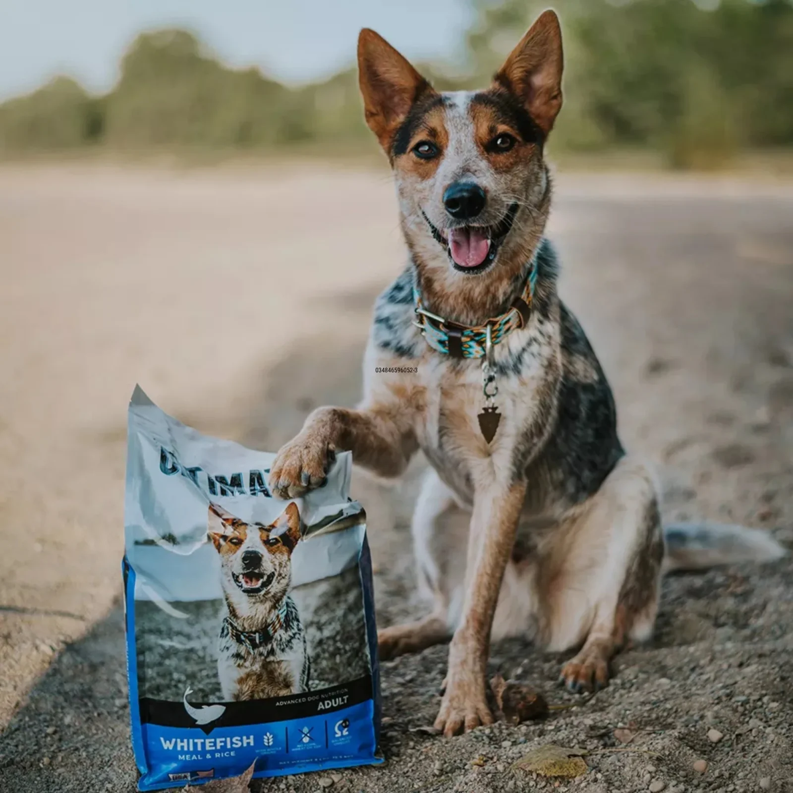 Ultimates Dry Dog Food Whitefish Meal & Rice 5lb - Image 2