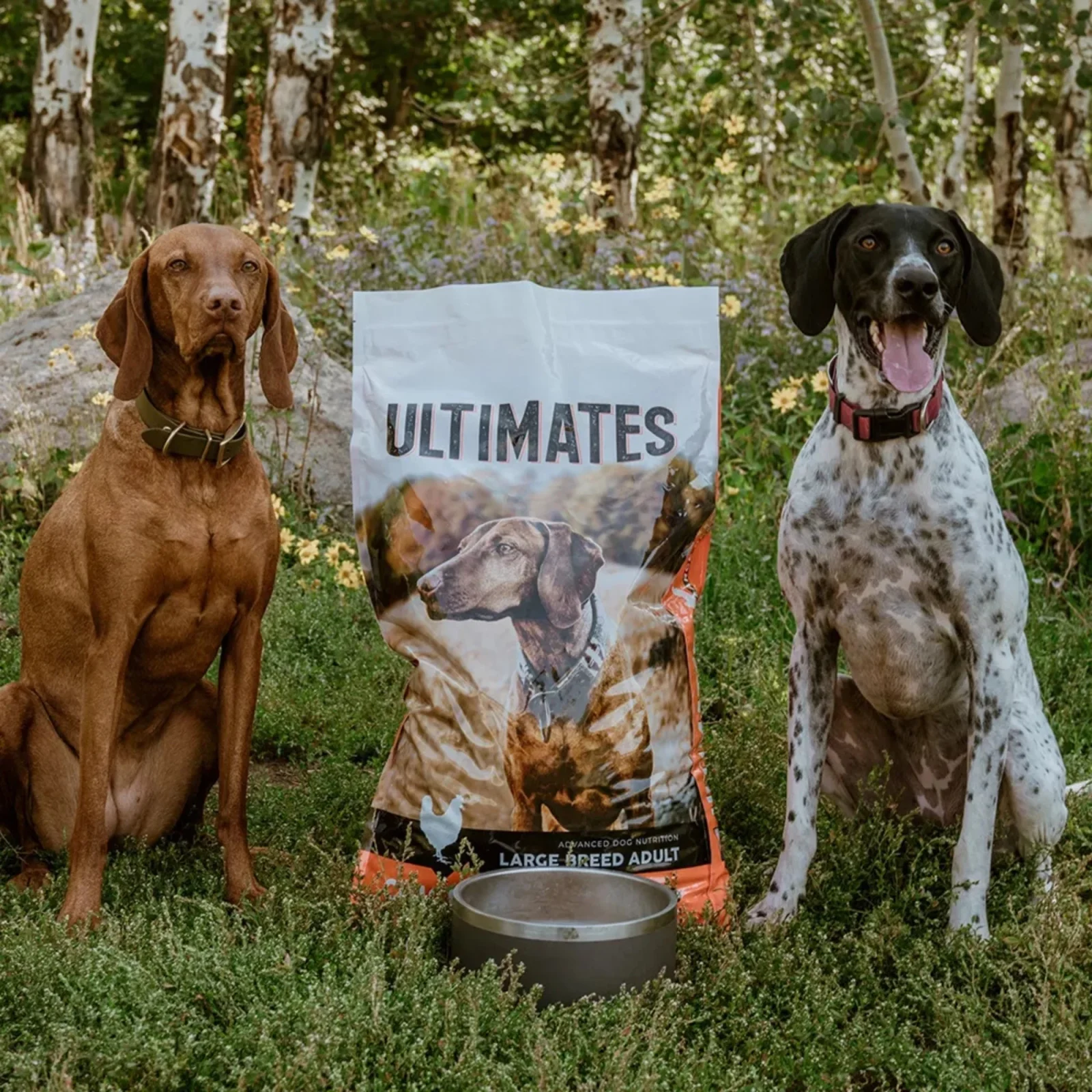 Ultimates Large Breed Dry Dog Food Chicken Meal & Rice 28lb - Image 2