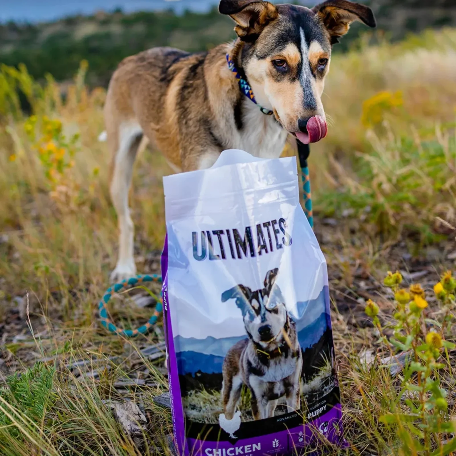 Ultimates Puppy Dry Dog Food Chicken Meal & Rice 28lb - Image 2