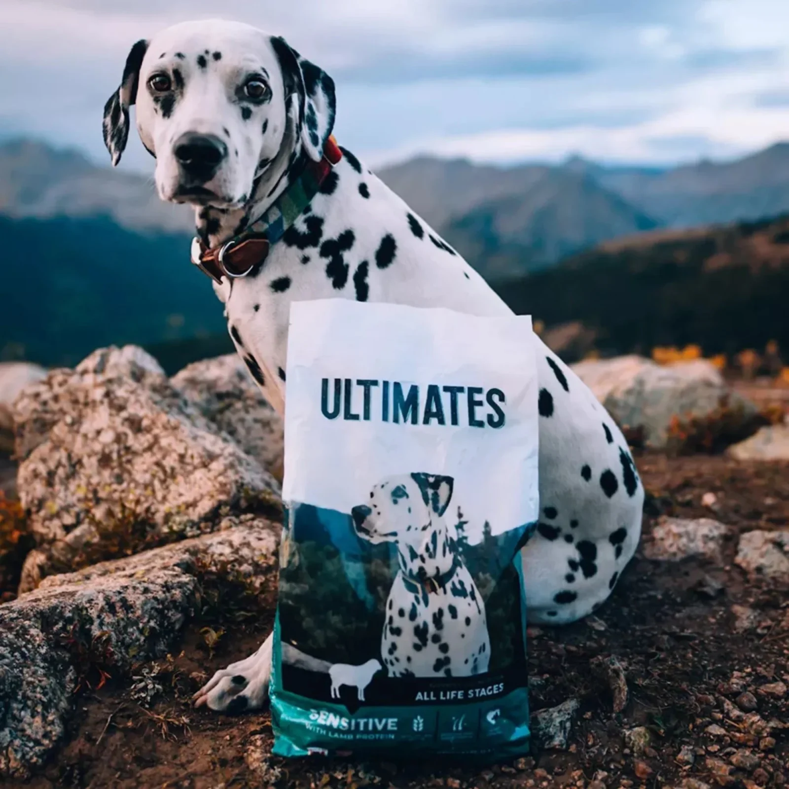 Ultimates Sensitive Dry Dog Food Lamb 28lb - Image 2