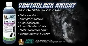 Vantablack Night Dark Coat Enhancing Shampoo 16oz by Nature's Specialties - Image 2