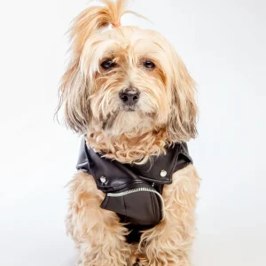 Vegan Leather Moto Vest for Dogs
