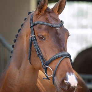 Velociti Lusso Padded Raised Flash Bridle