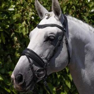 Veneto Anatomical Snaffle Bridle with Flash Black