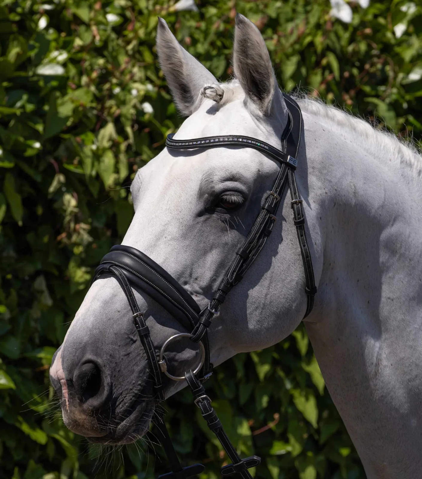 Veneto Anatomical Snaffle Bridle with Flash Black