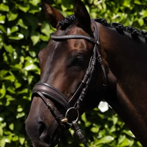 Veneto Anatomical Snaffle Bridle with Flash Brown