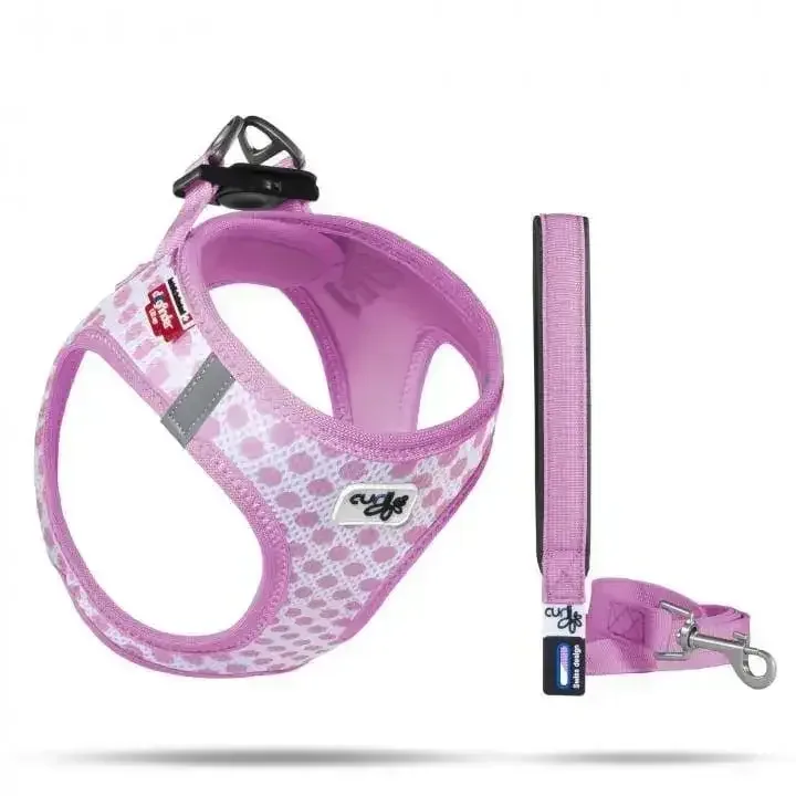 Vest Harness Air-Mesh with Matching Leash for Small Dogs