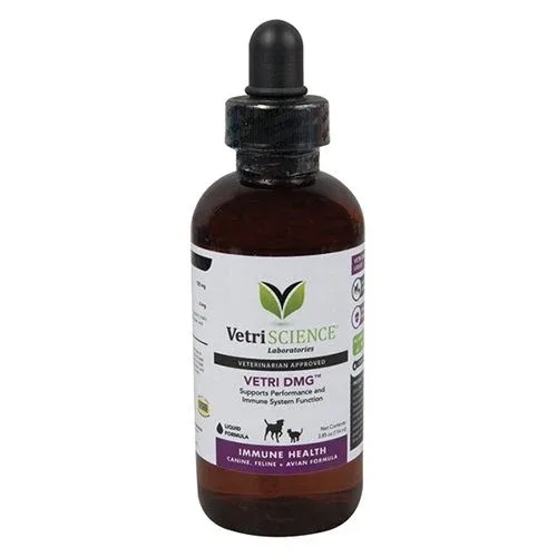 VetriScience Vetri DMG Liquid