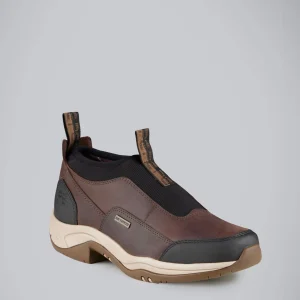 Vinci II Waterproof Shoe Brown