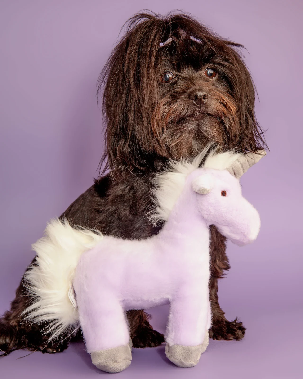 Violet Unicorn Plush Dog Toy - Image 2