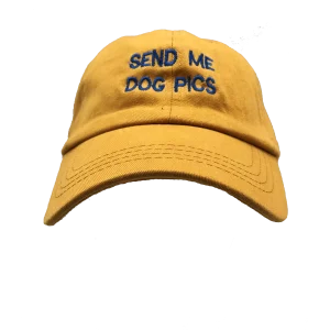 WAG CITY | Dog Pics Hat