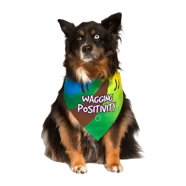 Wagging Positivity Dog Bandana by Dog Fashion Living