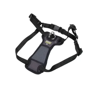 Walk Right Front-Connect Padded Dog Harness, Black, Medium, 20-30 in