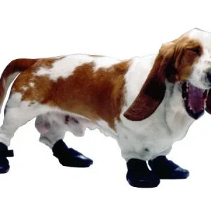 Walkabout Shoes Rubber 2Ct Xs
