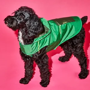 WARE OF THE DOG | Colorblock Anorak Raincoat in Green/Olive