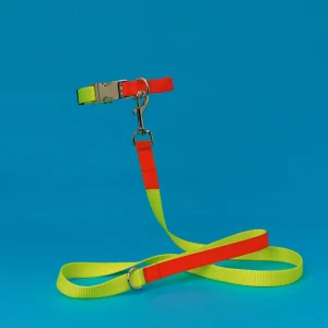 WARE of the DOG | Nylon Leash in Yellow/Orange