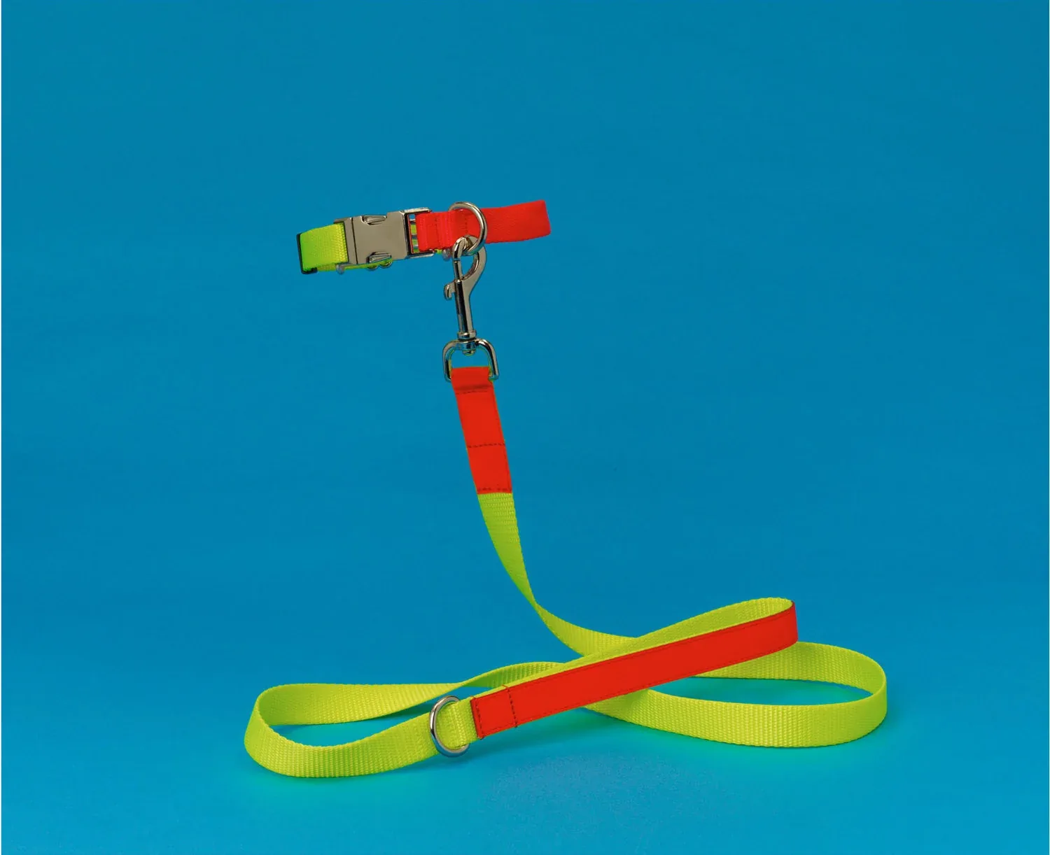 WARE of the DOG | Nylon Leash in Yellow/Orange