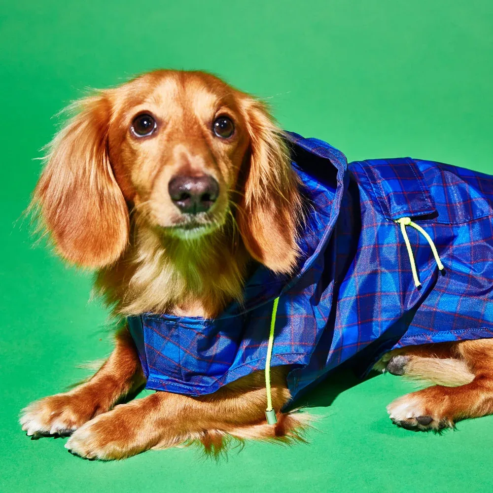WARE OF THE DOG | Plaid Anorak Raincoat in Purple/Multi - Image 2
