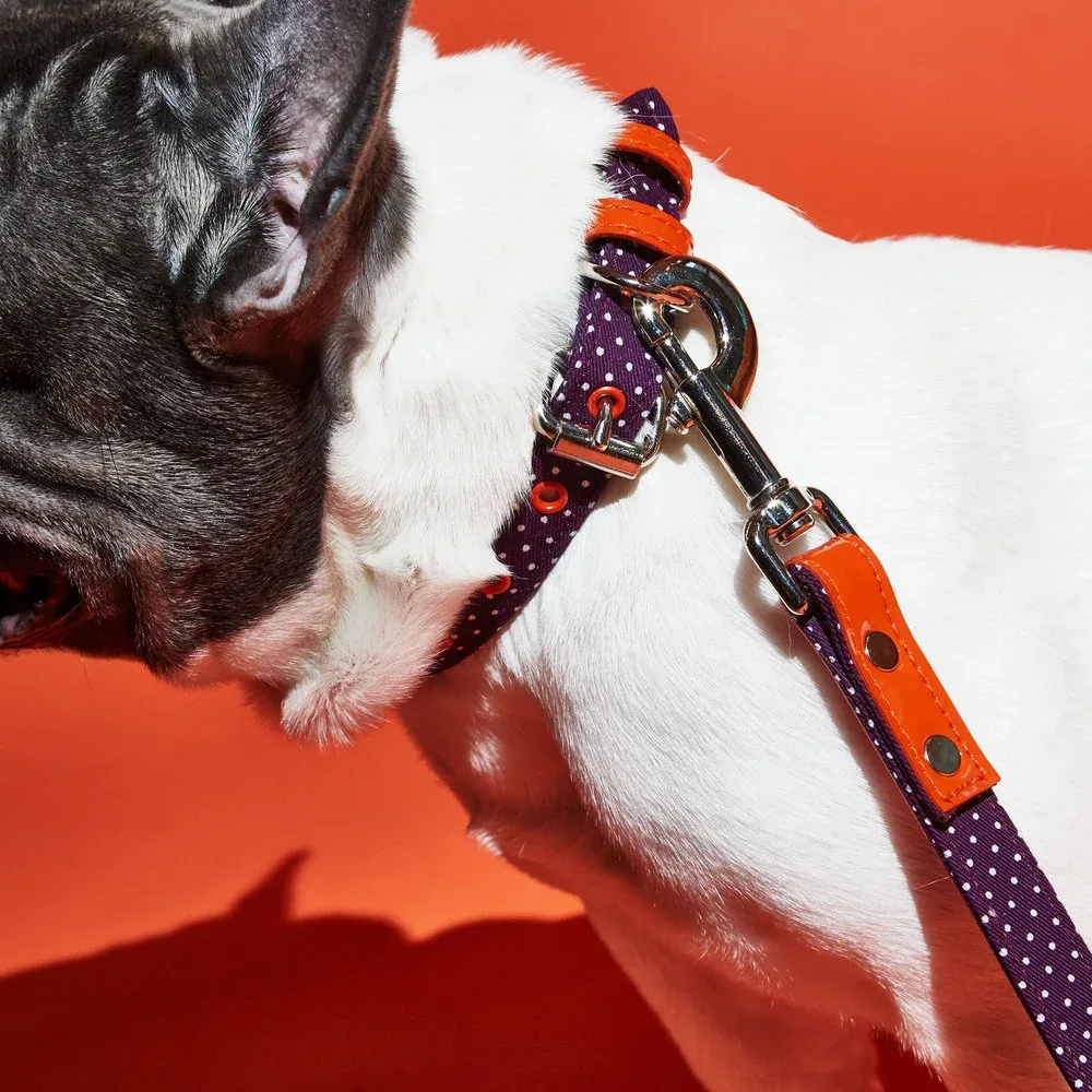 WARE of the DOG | Polka Dot Canvas Collar - Image 2