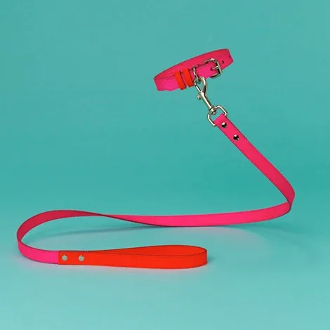 WARE of the DOG | Two Tone Leather Collar in Pink / Orange