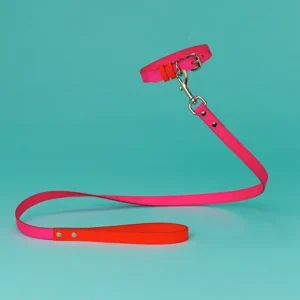 WARE of the DOG | Two Tone Leather Leash in Pink / Orange
