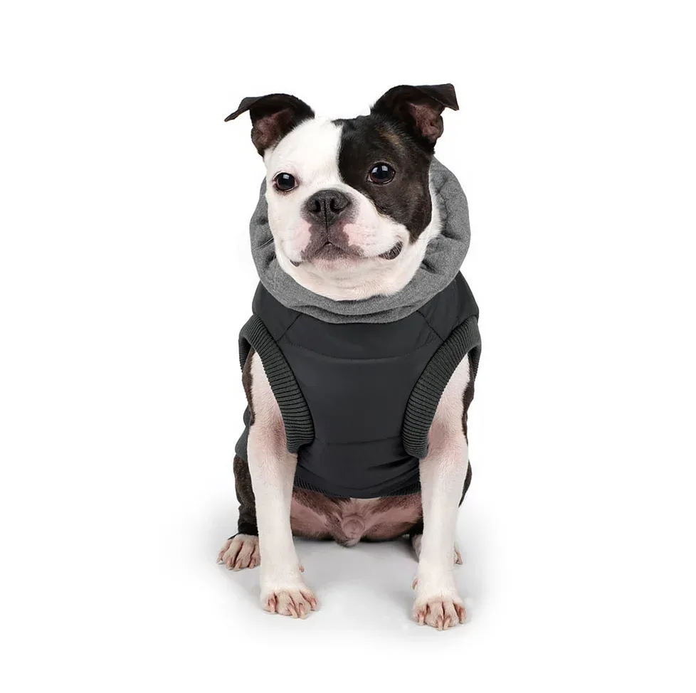 Warm Up Harness Jacket in Black (FINAL SALE) - Image 2