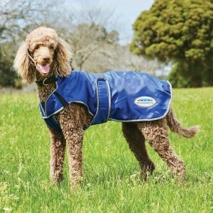 WB Comfitec Windbreaker Deluxe Dog Coat 20 Purple
